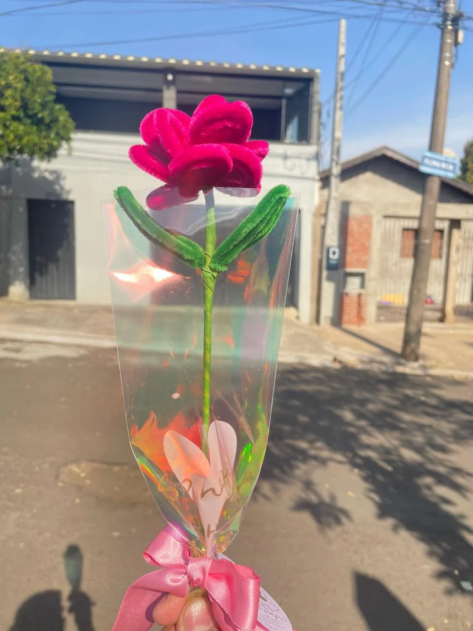 Botão de flor - diversos