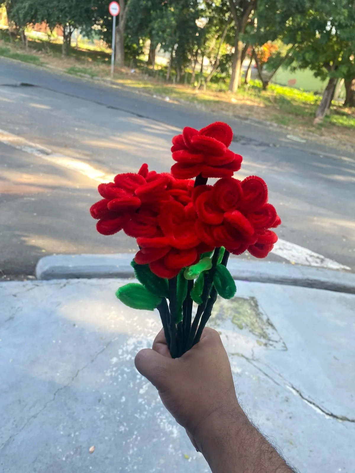 Coração de Rosas